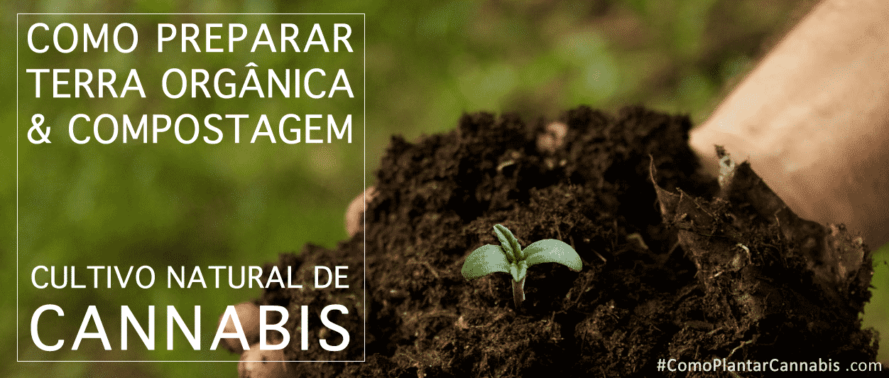 solo terra organica como plantar maconha 1